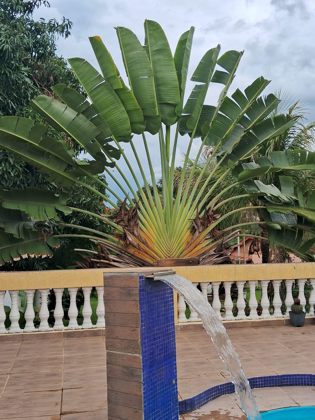 Chácara com 03 dormitórios à venda, 1.000 m² por R$485.000,00 - Mogi Guaçu/SP