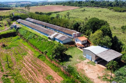 🏡 Granja Produtiva e Automatizada à Venda – Excelente Oportunidade de Investimento!