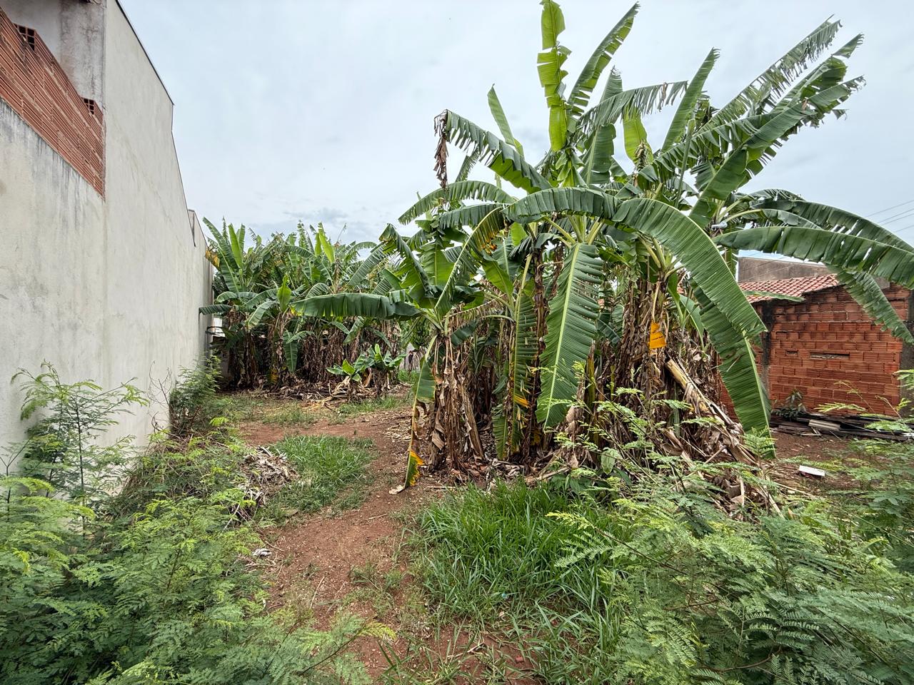 TERRENO À VENDA JARDIM NOVO II