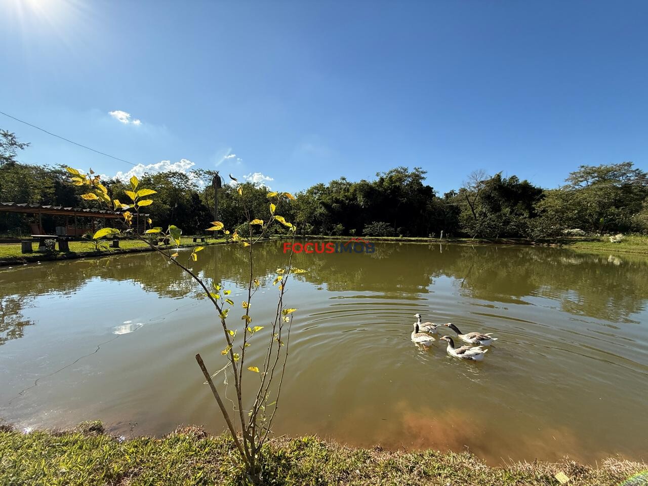 Chácara de 10.000 m²  dentro da cidade em Itapira SP