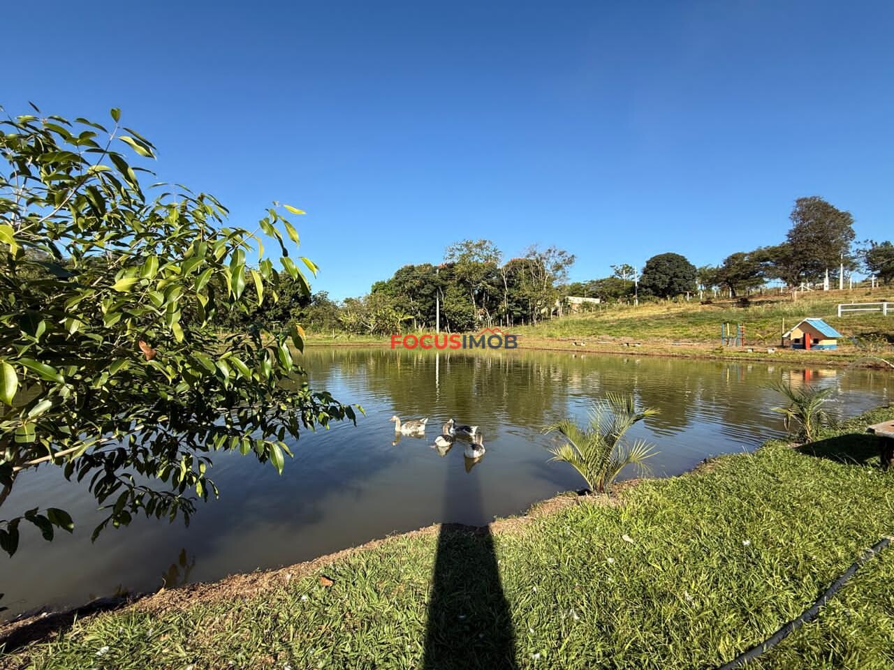 Chácara de 10.000 m²  dentro da cidade em Itapira SP