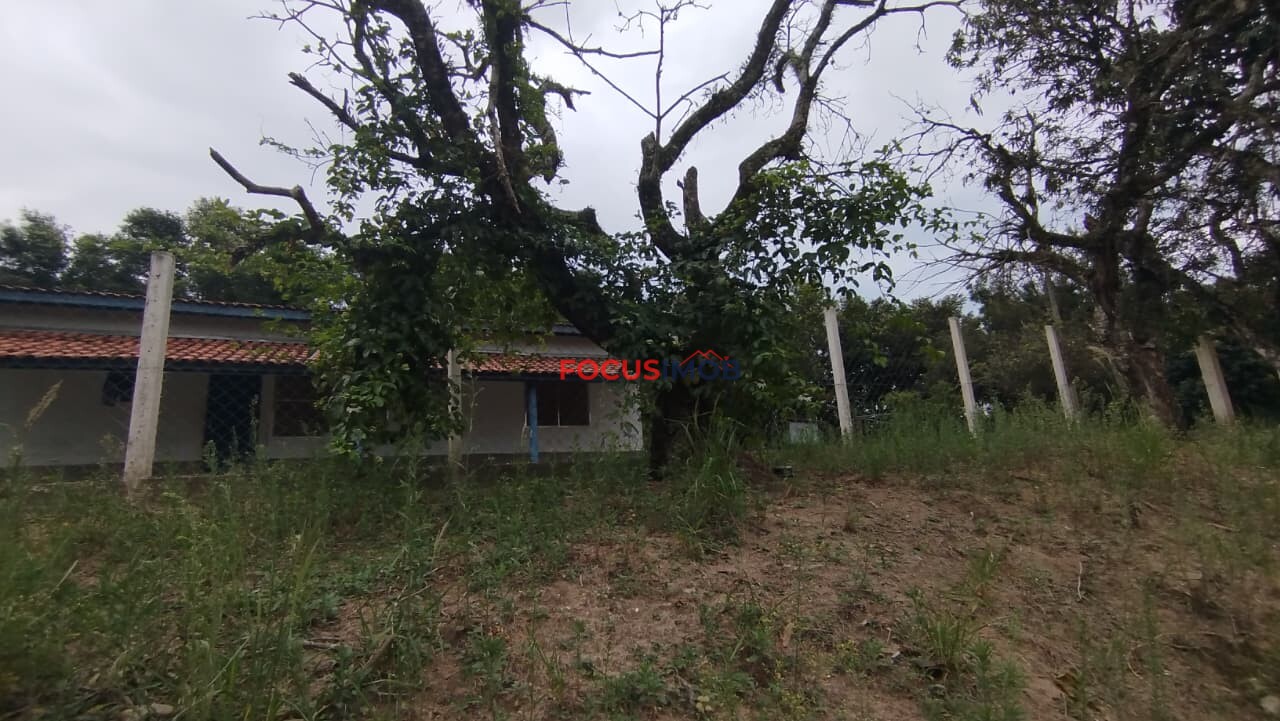 Granja Produtiva em Amparo SP - 6 alqueires