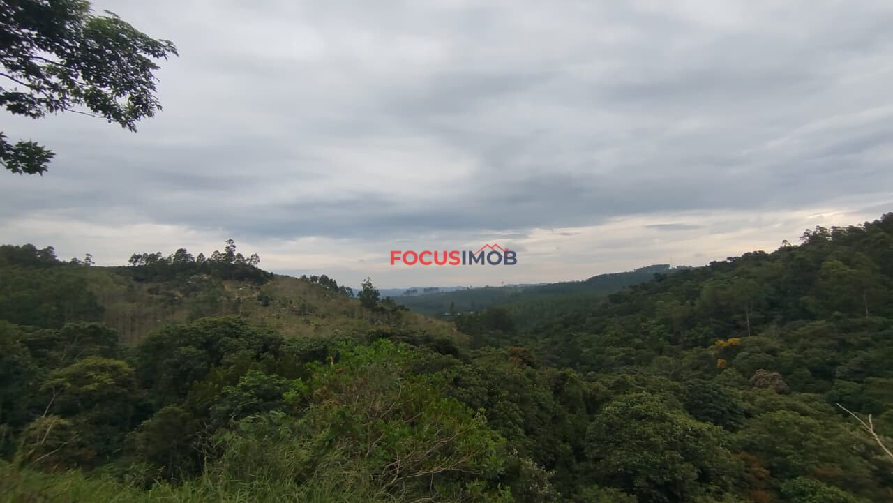 Granja Produtiva em Amparo SP - 6 alqueires