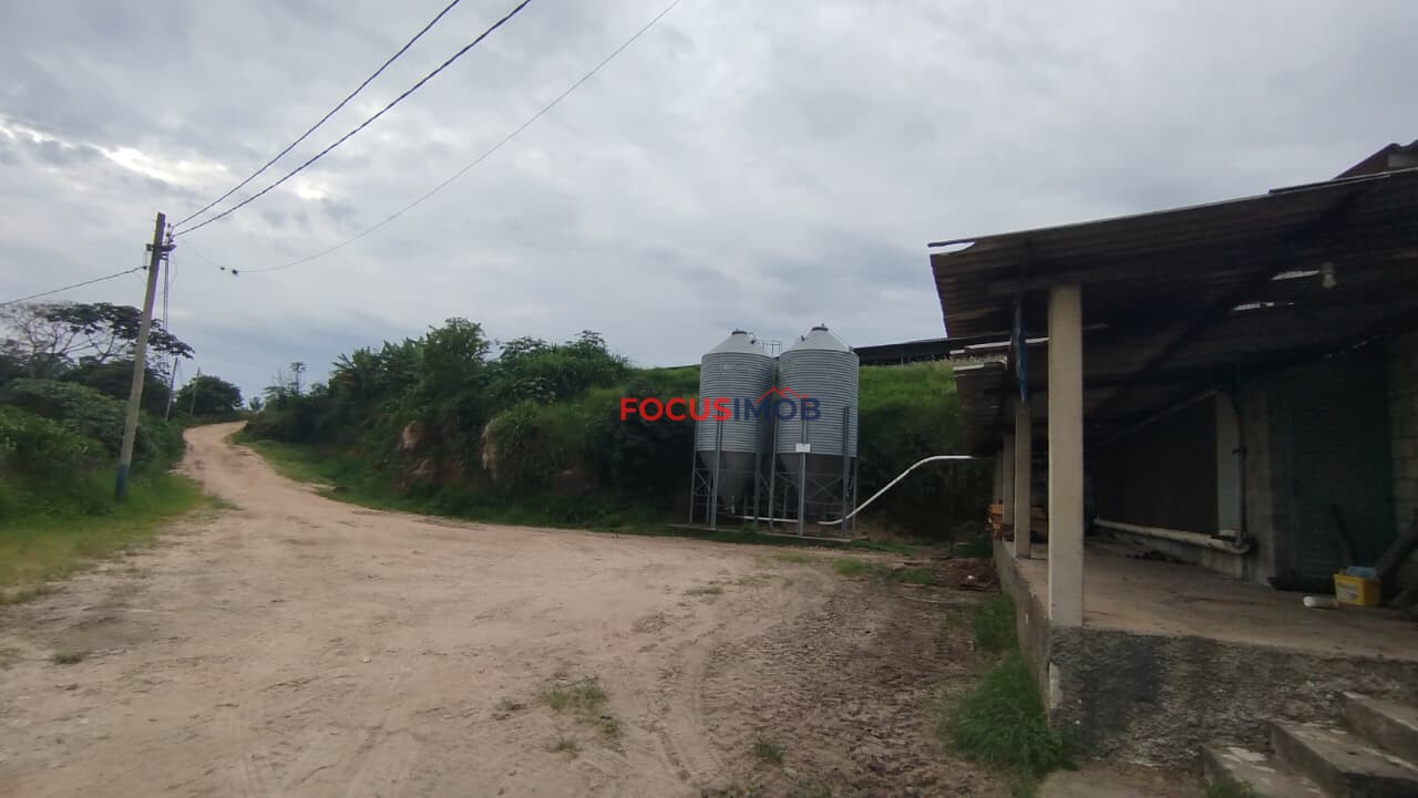Granja Produtiva em Amparo SP - 6 alqueires