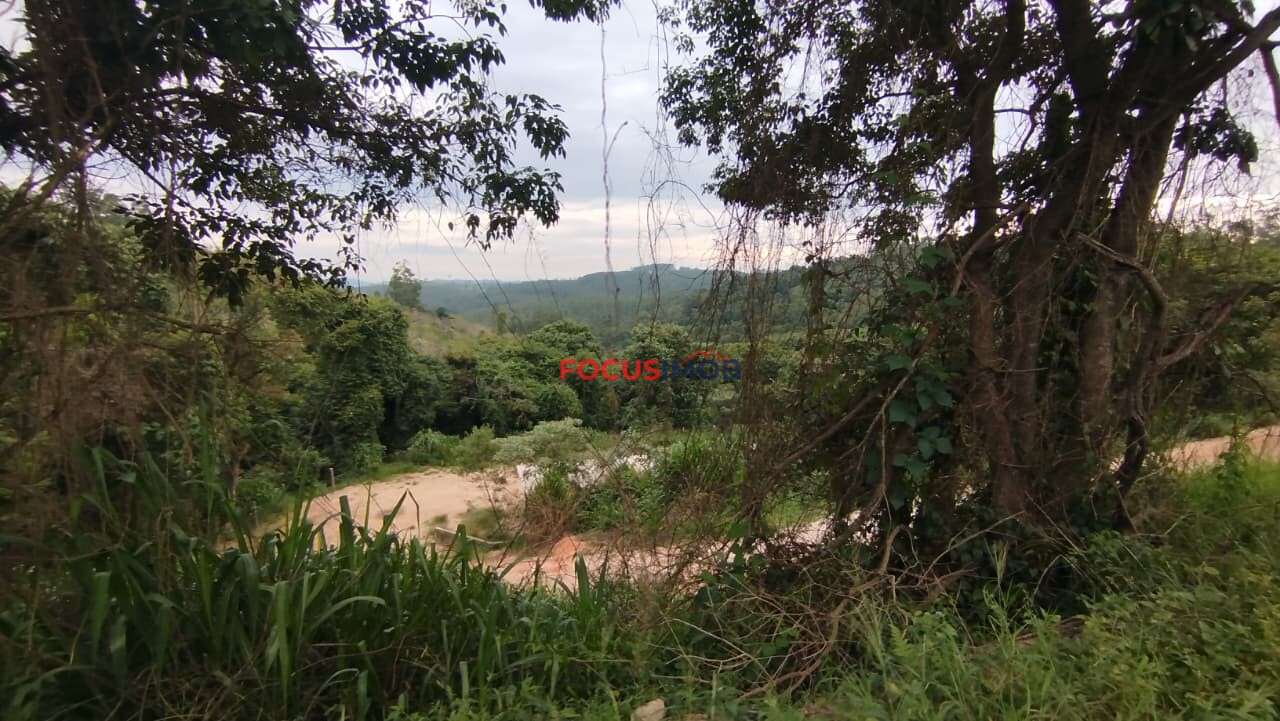 Granja Produtiva em Amparo SP - 6 alqueires