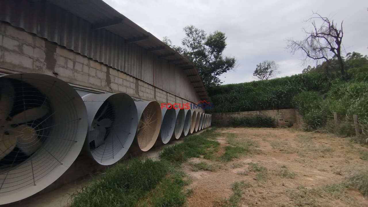 Granja Produtiva em Amparo SP - 6 alqueires