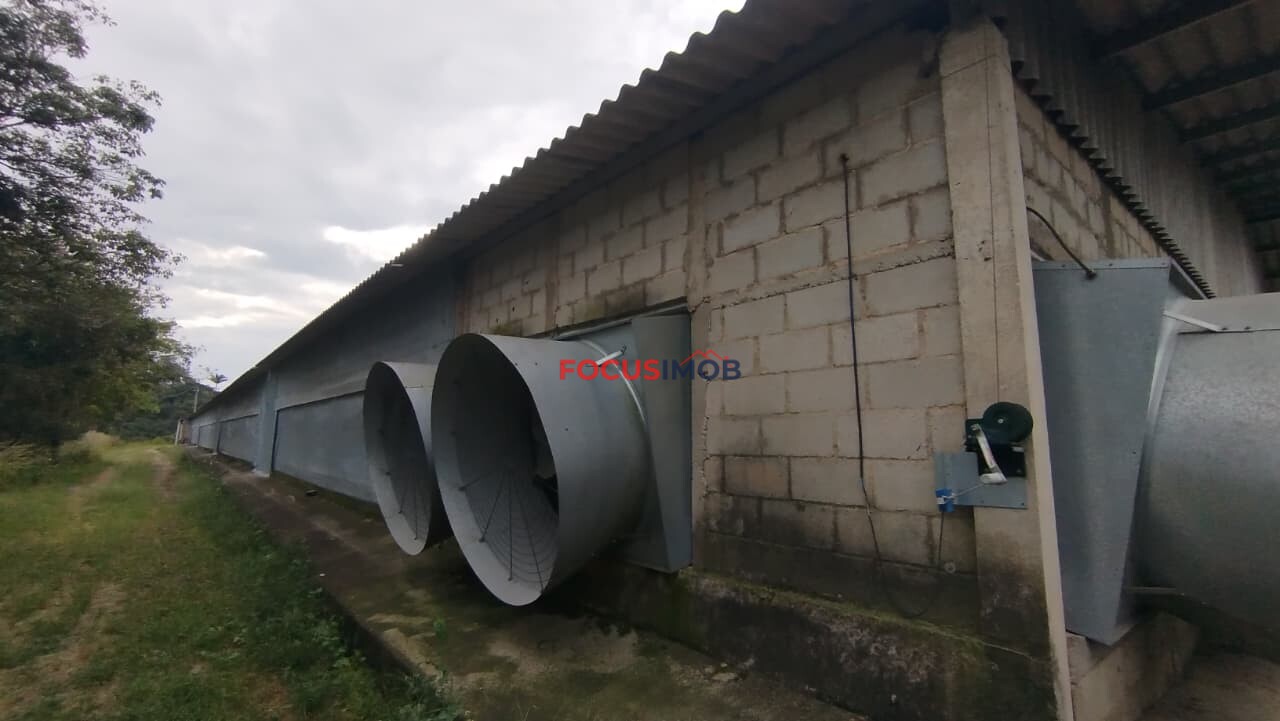 Granja Produtiva em Amparo SP - 6 alqueires