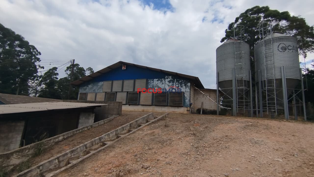 Granja Produtiva em Amparo SP - 6 alqueires