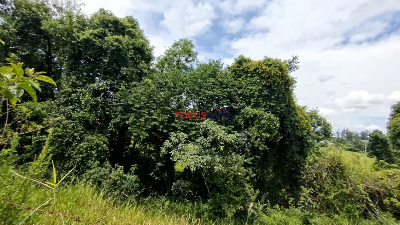 Belíssimo Sítio no Brumado em Itapira