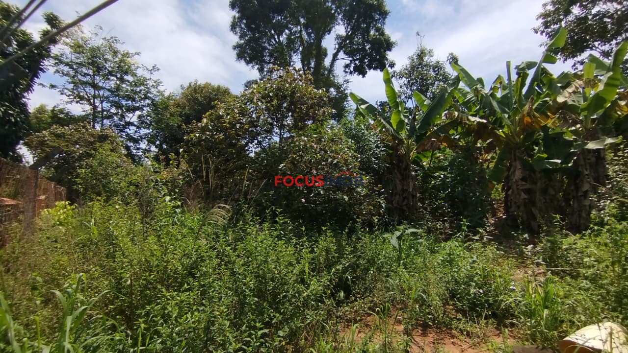 🏡 Sítio dos Sonhos em Itapira: Piscina e Lagoa à Sua Espera!