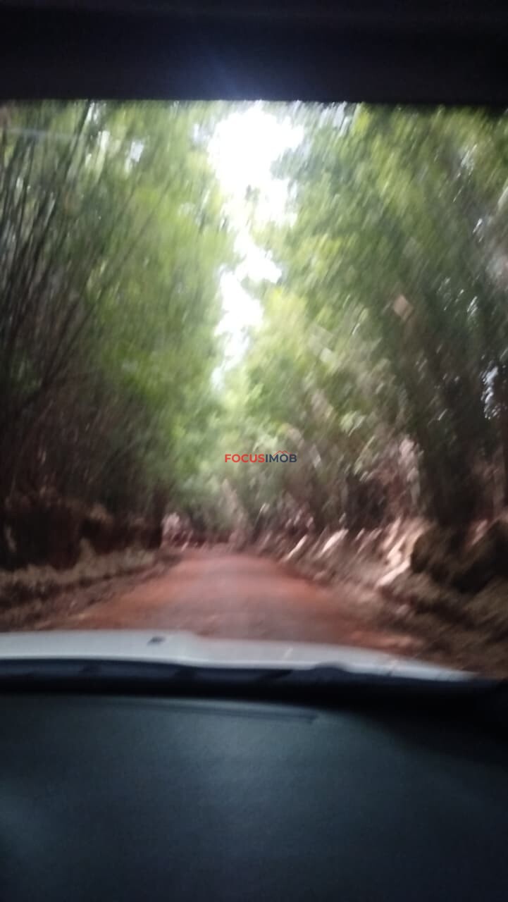 🏡 Sítio dos Sonhos em Itapira: Piscina e Lagoa à Sua Espera!