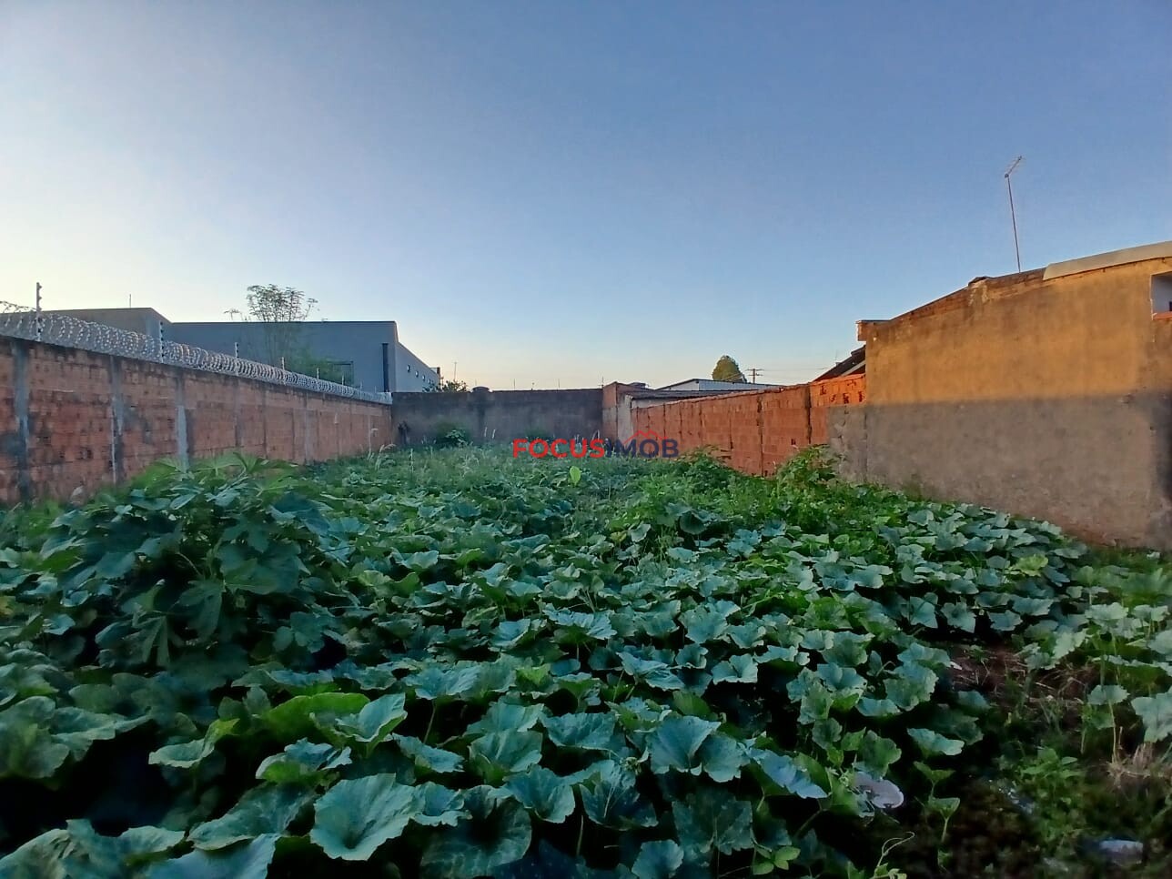 Terreno á Venda Jardim São Pedro-Mogi Guaçu -SP