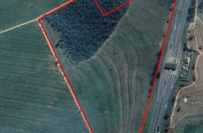 Oportunidade Única! Área de 6 Alqueires à Venda em Casa Branca/SP