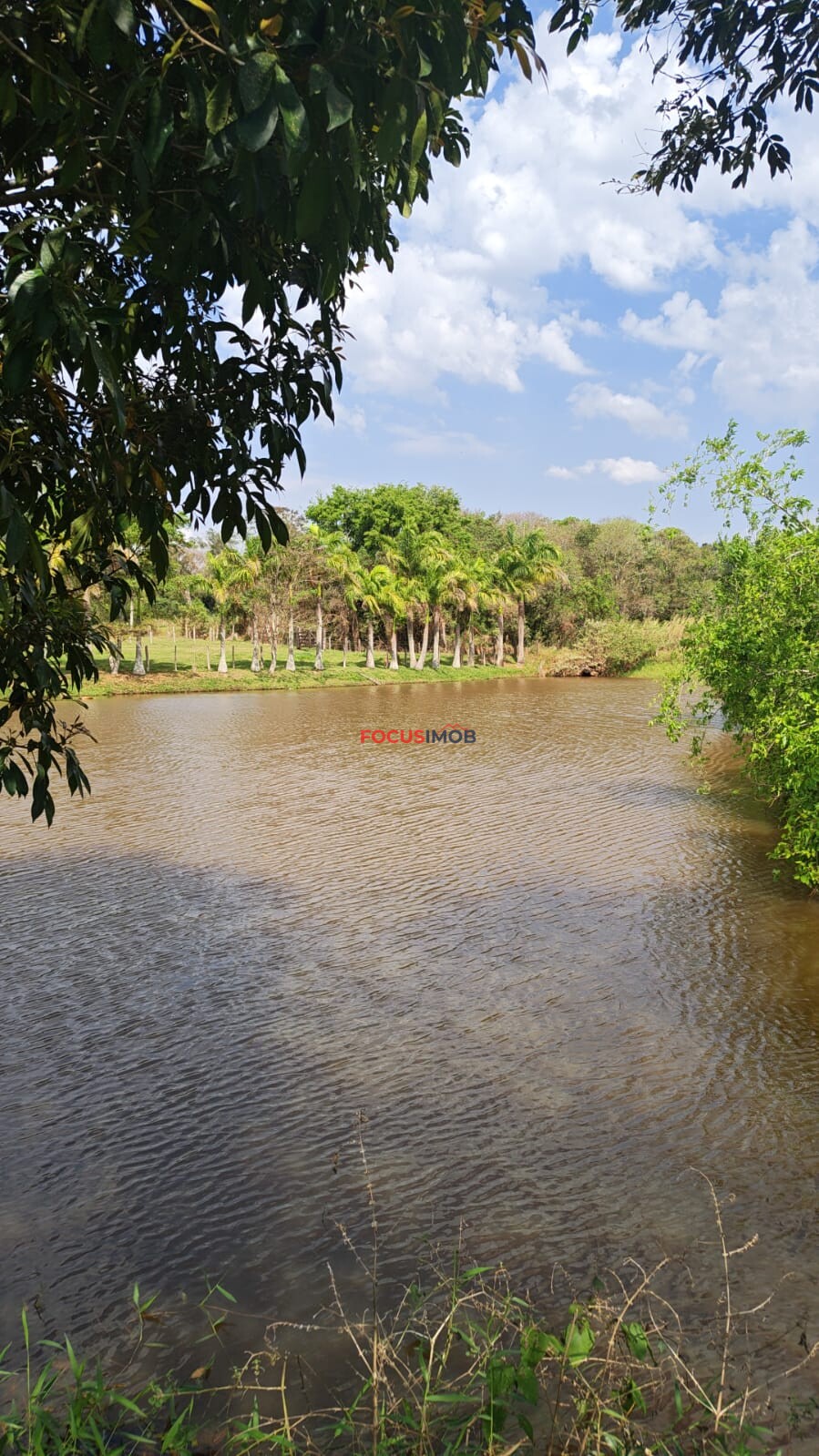 ABAIXO DA AVALIAÇÃO: Granja Pronta para Reativação em Jacutinga/MG