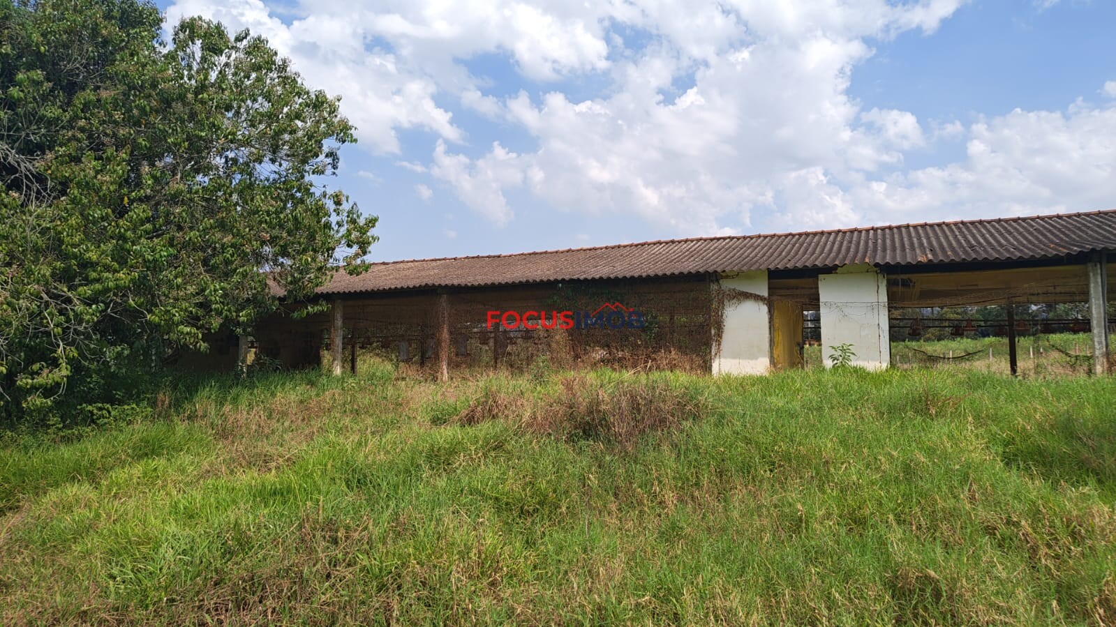 ABAIXO DA AVALIAÇÃO: Granja Pronta para Reativação em Jacutinga/MG
