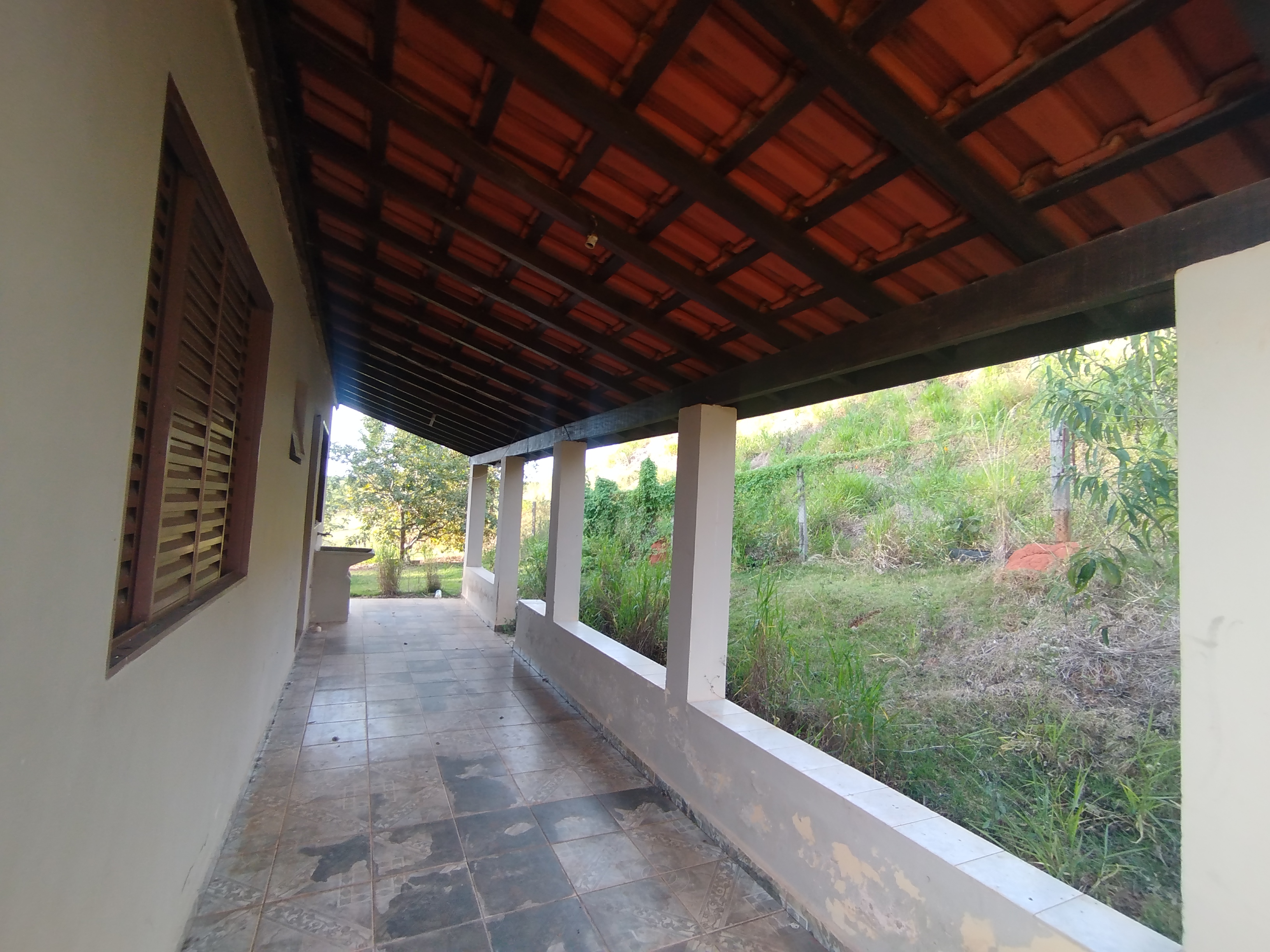 🏡 Granja Produtiva e Automatizada à Venda – Excelente Oportunidade de Investimento!