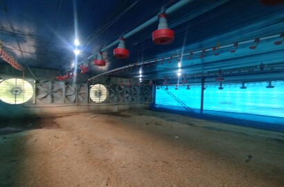 🏡 Granja Produtiva e Automatizada à Venda – Excelente Oportunidade de Investimento!