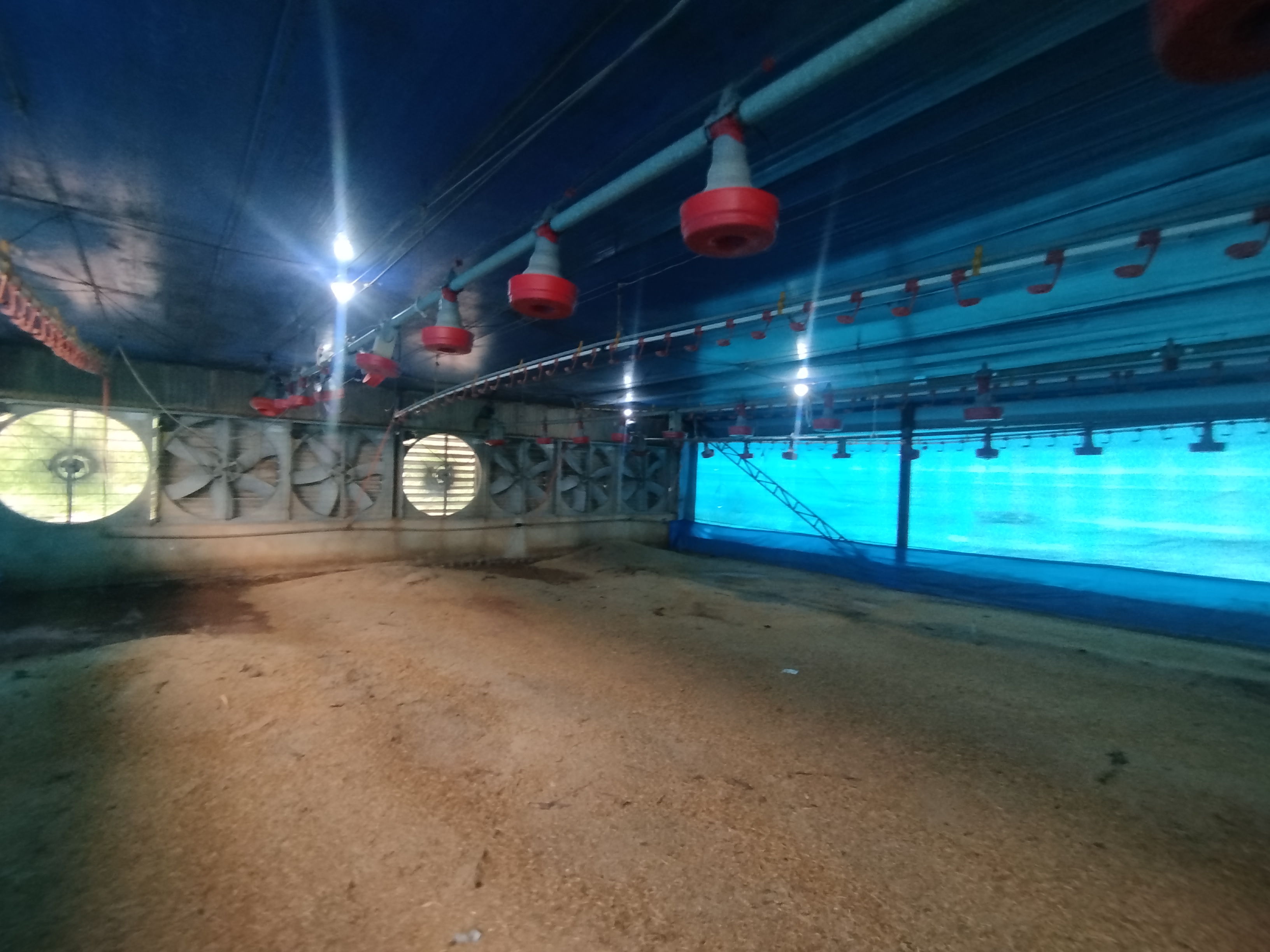 🏡 Granja Produtiva e Automatizada à Venda – Excelente Oportunidade de Investimento!